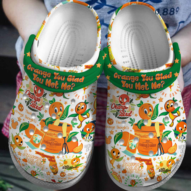 Orange Bird Clogs